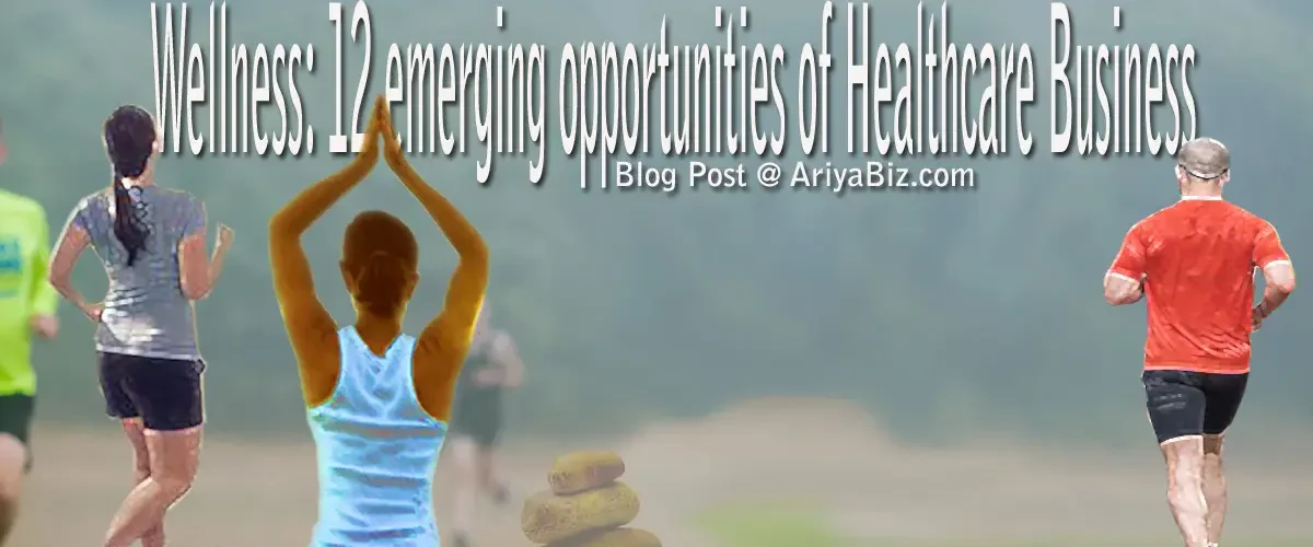 Wellness Business